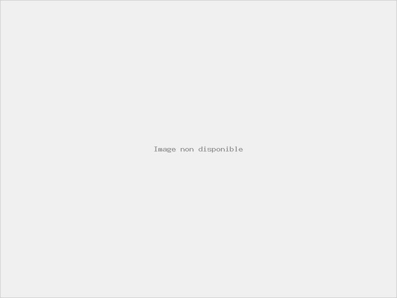 Mercedes Benz brabus