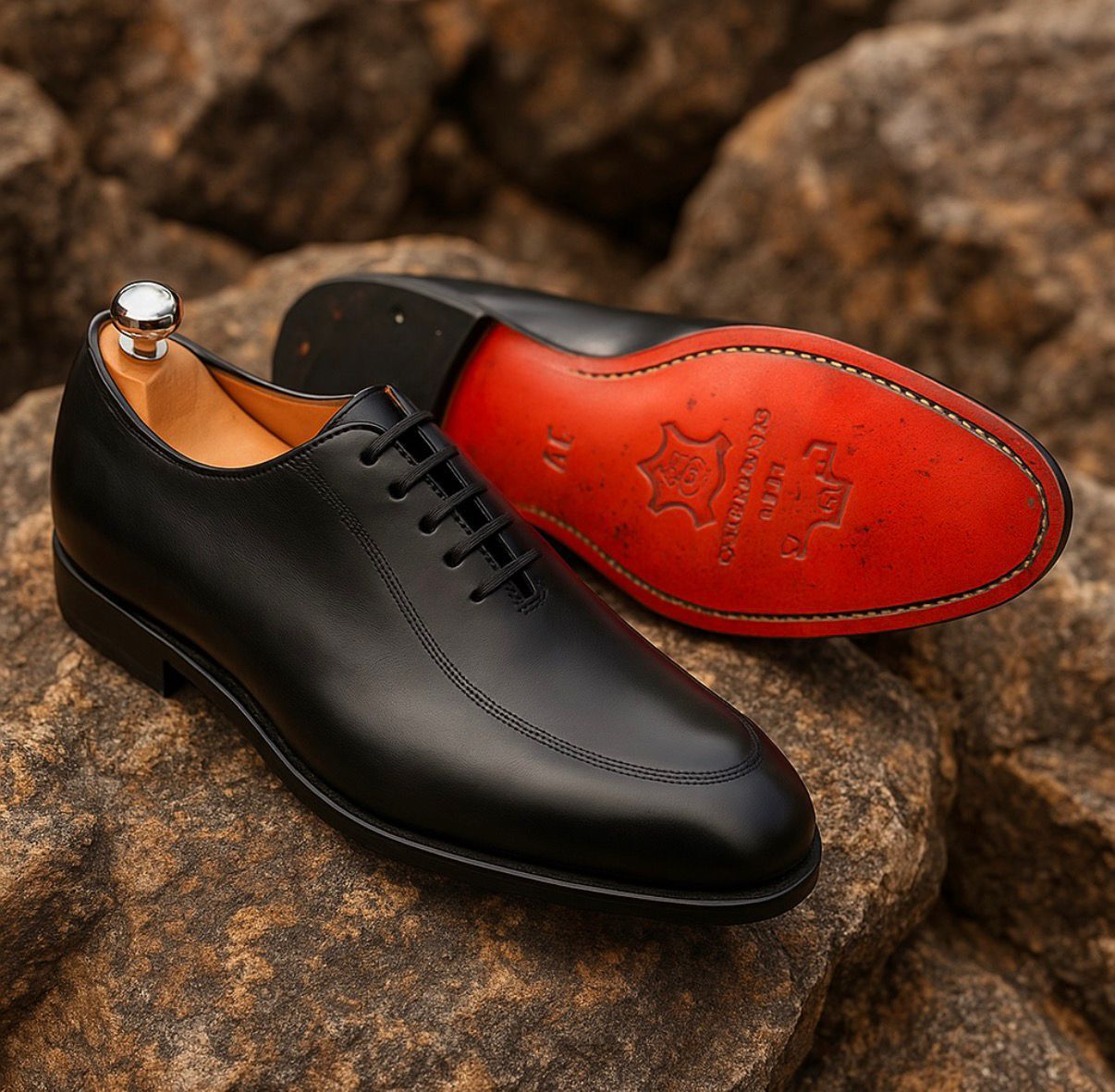 Paire de soulier professionnelle